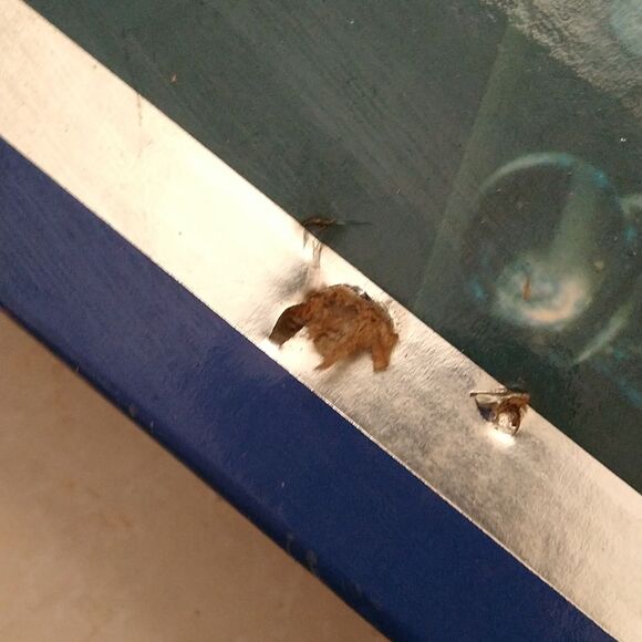 Glass Chess Set - Picture 8 of 8